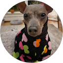 Joy Kubiak profile picture